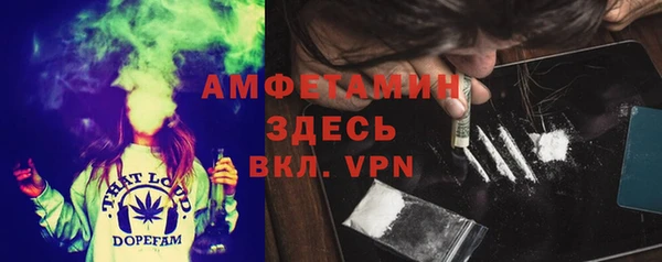 дмт Арсеньев