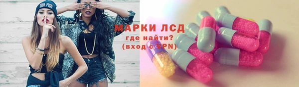 прущие грибы Алексеевка