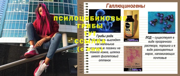 дмт Аркадак