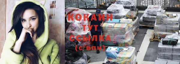 дмт Аркадак