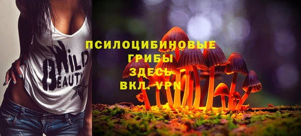 дмт Аркадак