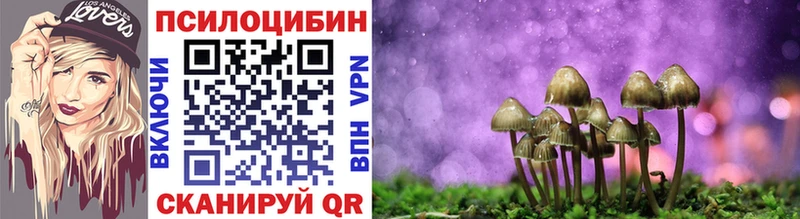 Псилоцибиновые грибы Psilocybe  мега ССЫЛКА  Волгоград 
