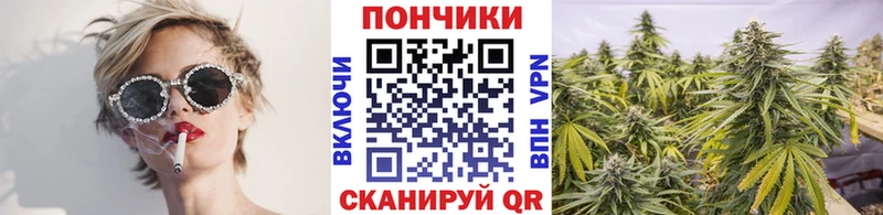 дарнет шоп  Волгоград  Бошки марихуана Ganja 